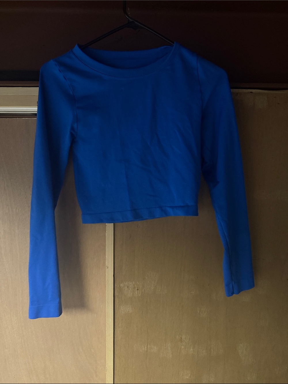 Cropped Long Sleeve Top in Bright Blue